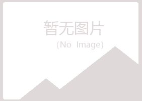 五大连池千城咨询有限公司